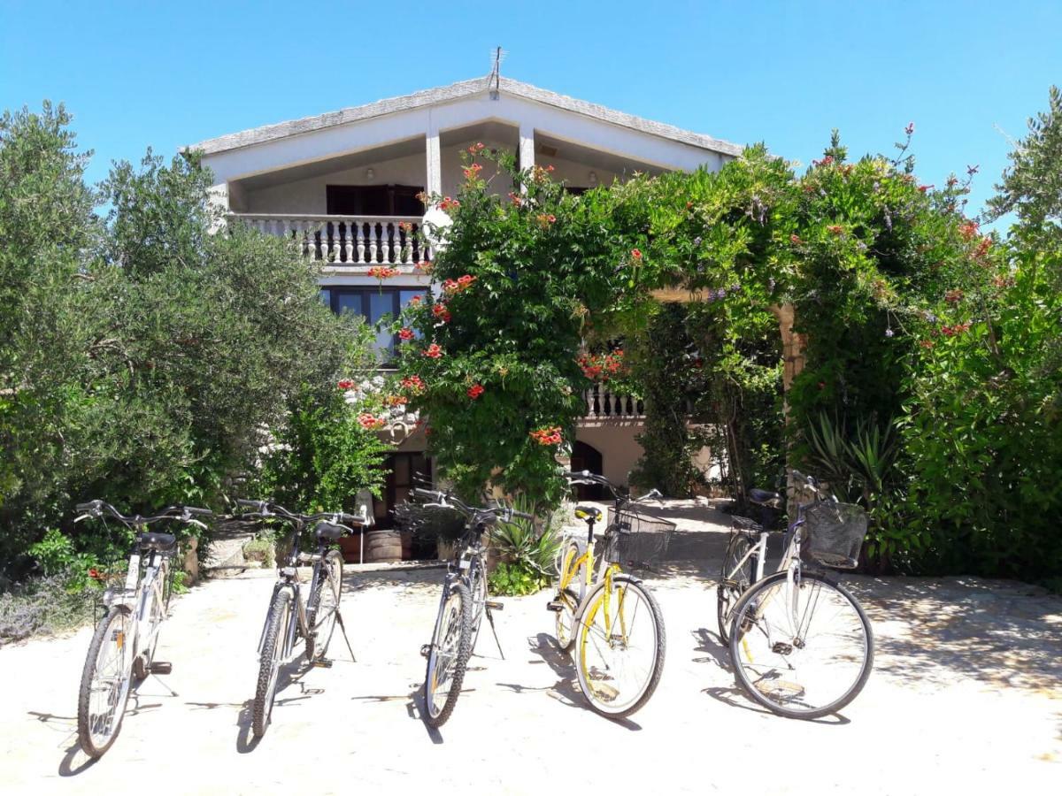 Apartments Marinka Biograd Na Moru Exterior foto
